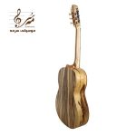 گیتار آکوستیک آگرین A200