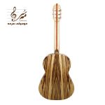 گیتار آکوستیک آگرین A200