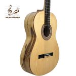 گیتار آکوستیک آگرین A200