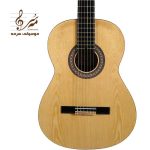 گیتار آکوستیک آگرین A200