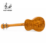 بدنه یوکللی ویلو مدل C2