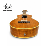 خرید یوکللی ویلو مدل C2