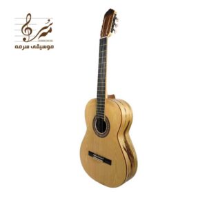 گیتار آکوستیک آگرین مدل A200 - صدای گرم و طبیعی با کیفیت بی‌نظیر